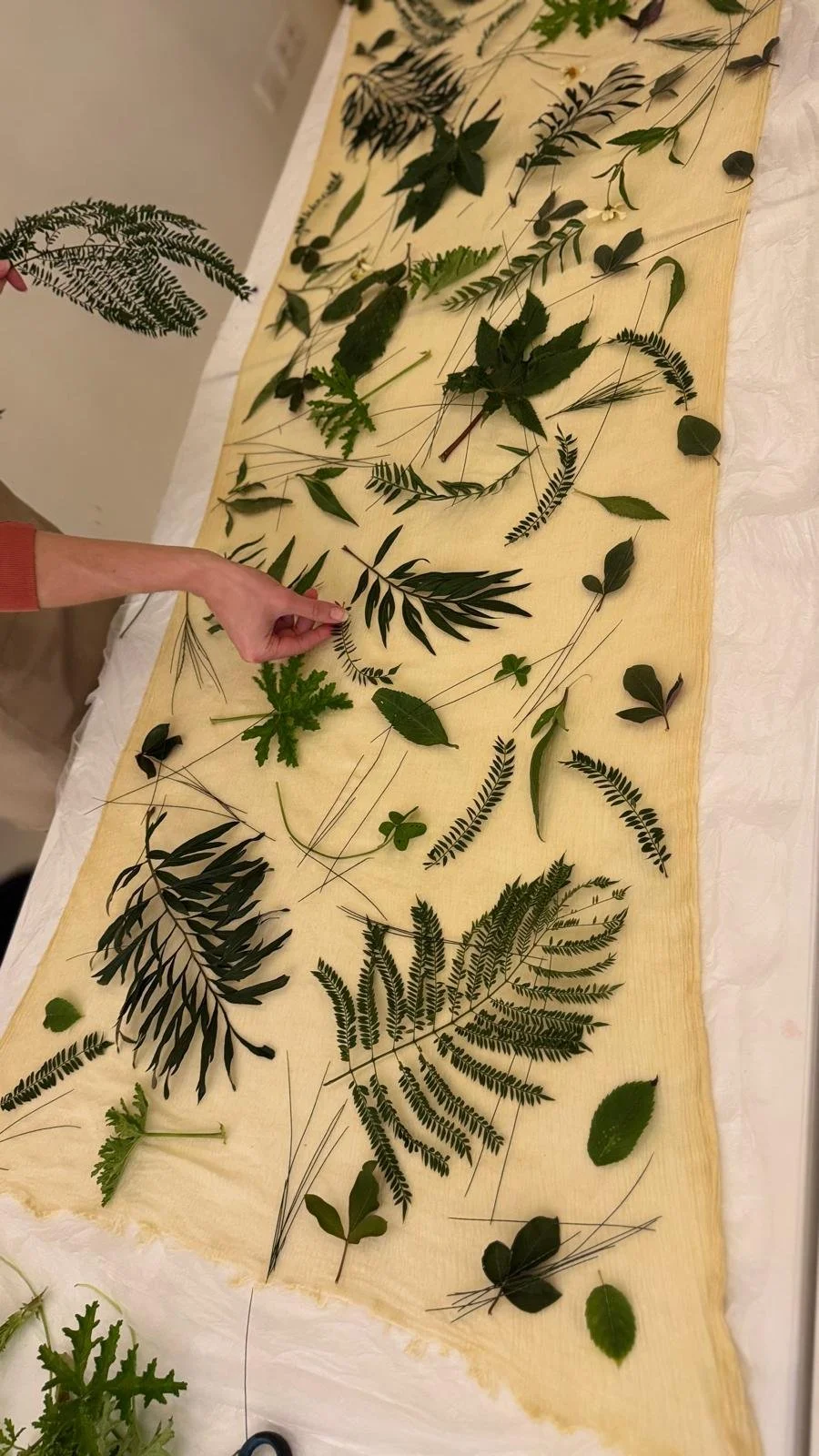 Botanical Printing 2.jpeg