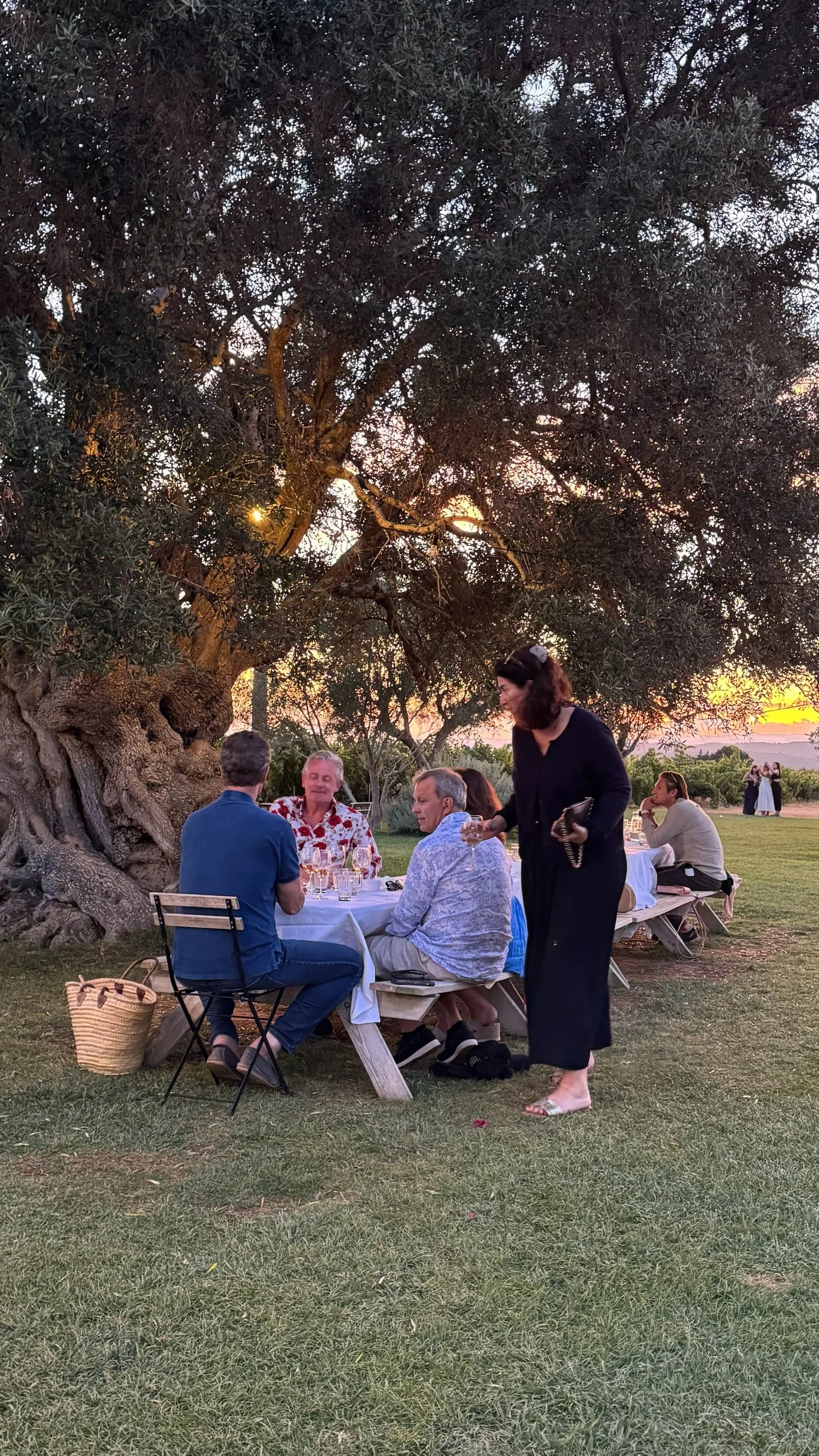An evening long-table dinner under a 2,000-year-old olive tree at Monterosa, a short drive from Casa Fuzetta, with guests around a white-linen table as the sun sets over the fields beyond.