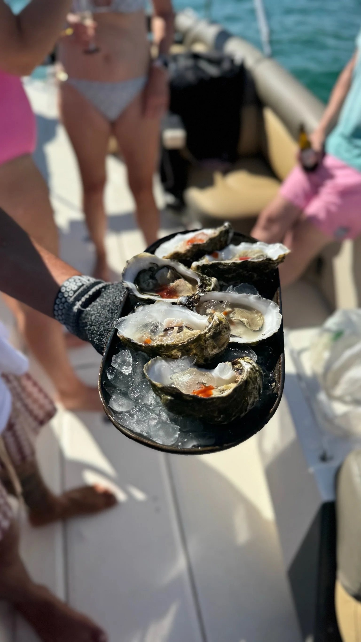 A platter of Ria Formosa oysters on ice, harvested straight from the lagoon by the FantastikSpirit team on a boat trip out of Olhão close to Casa Fuzetta, above the turquoise water.