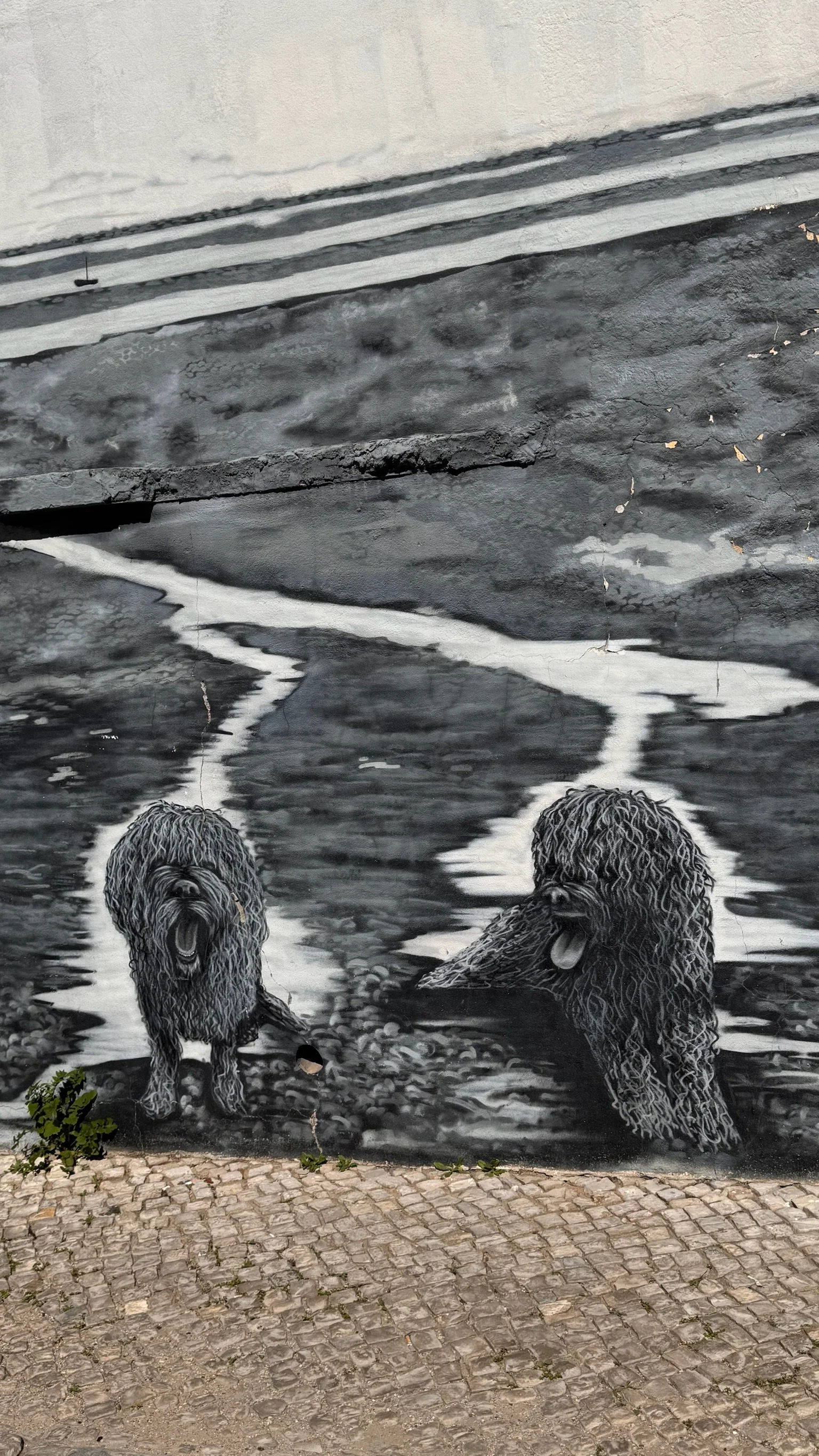 A large black-and-white mural of two Portuguese Water Dogs on a whitewashed wall in Olhão, close to Casa Fuzetta, painted against a stylised tidal scene above the calçada cobblestones.