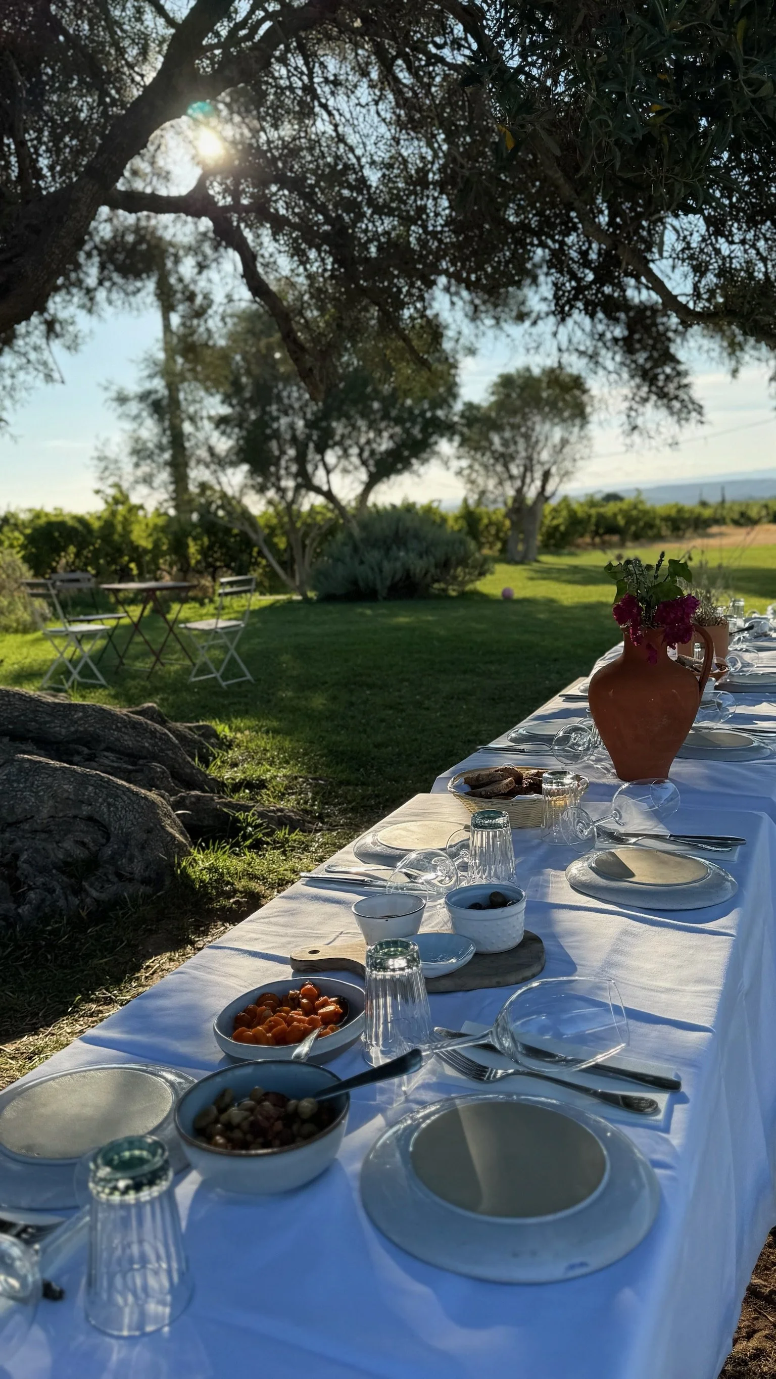 A table laid with olives, tomatoes and bread under a 3,000-year-old olive tree at Morgado do Quintao. This Algarve vineyard supplies wine to Casa Fuzetta and hosts visits and lunches for its guests.