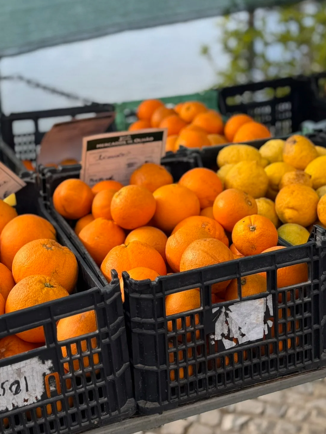 Crates of oranges and lemons at the Mercado de Olhão a short walk from Casa Fuzetta, price tags branded with the market's name and traditional Portuguese calçada cobblestones underfoot.
