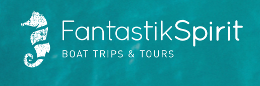 Fantastik Spirit Logo