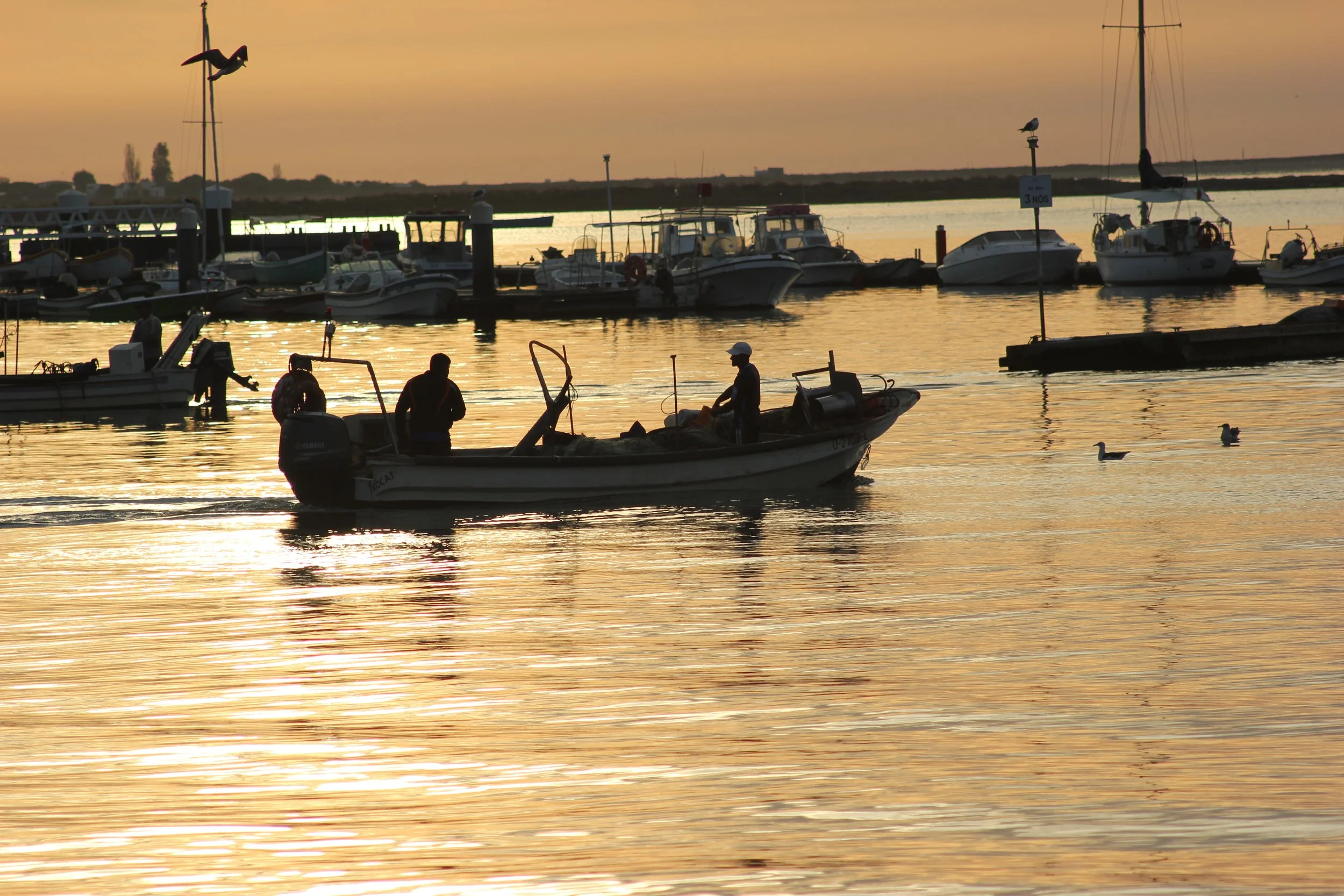 A small fishing boat crossing Olhão harbour at golden hour, close to Casa Fuzetta, its crew silhouetted against the water with moored boats and the Ria Formosa beyond.