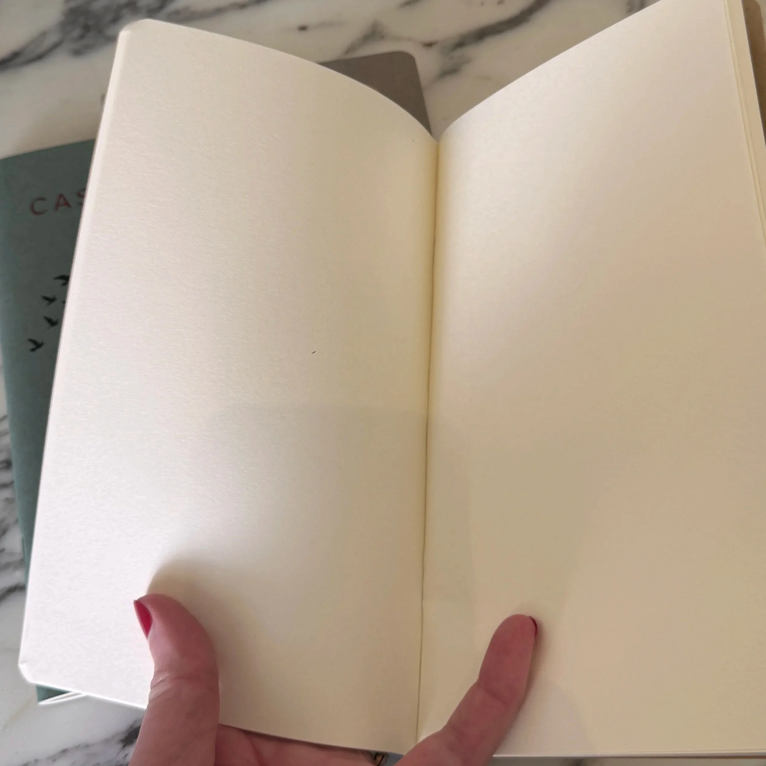 Photo sharing the quality of paper of the blank pages of the Casa Fuzetta exclusive notebooks - perfect for journalling and/or urban sketching