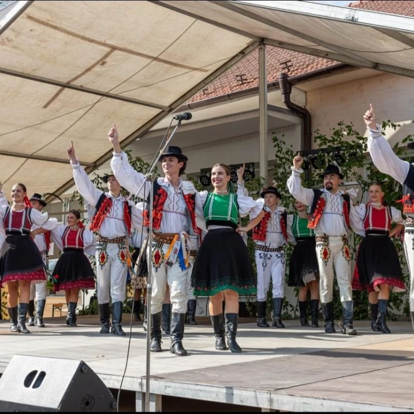💃🎻&Scaron;umice

#fsvrsatec #vrsatec #sumice #morava #valassko #dubnica #festival #dance #dancing #dance #performance #slovakfolklore #kroje #foklor #tanec #mestodubnica #vdubnici #praveslovenske @nasfolklor  @praveslovenske
📷Obec &Scaron;umice