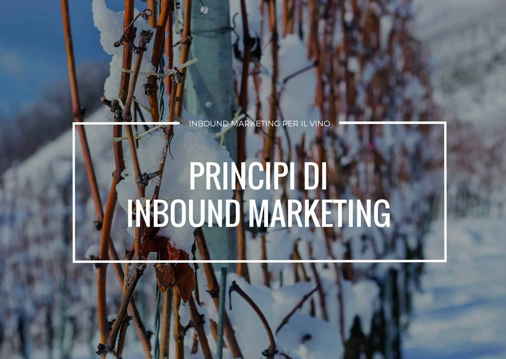 PRINCIPI DI INBOUND MARKETING PER IL SETTORE VITIVINICOLO