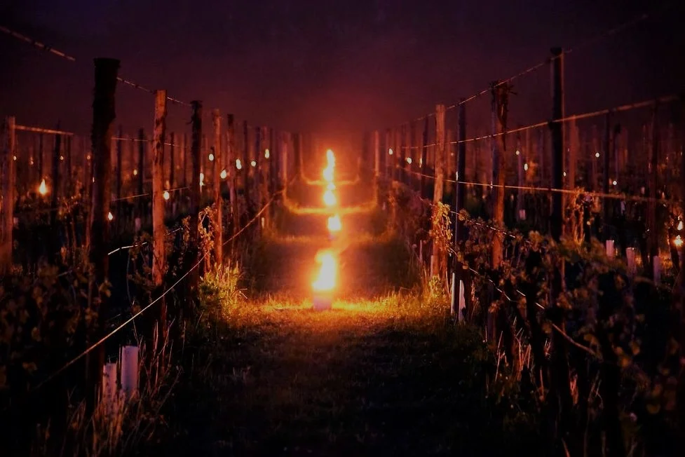storytelling per il vino