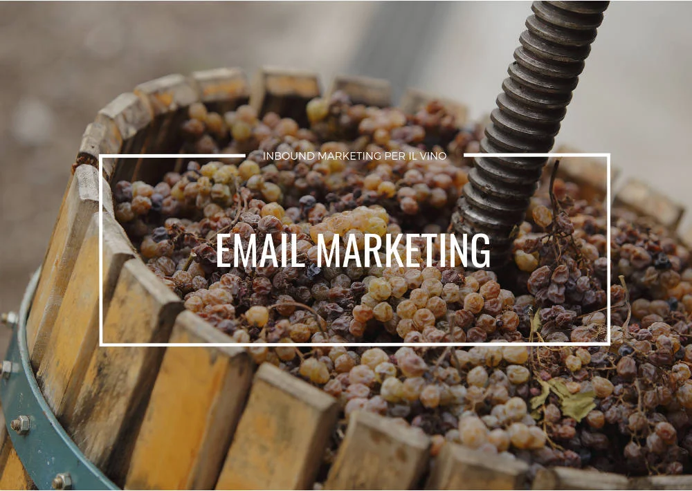 email marketing per il settore vitivinicolo