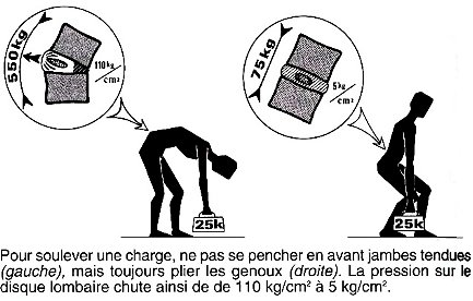 Fig 1 : placement du dos