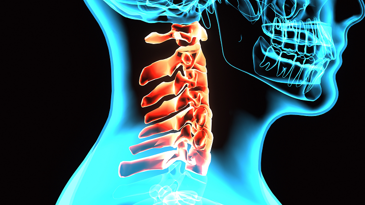 formation_osteopathie_structurelle_cervicales_cfpco_walid_salem_yves_lepers.png