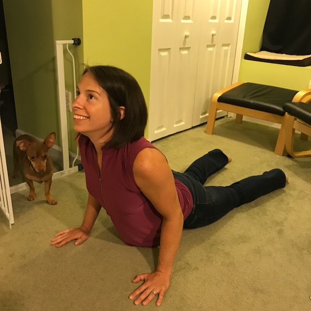 Note the extension throughout the spine (including the extension of the neck and the lift of the head). Ignore: the dog that insisted on photo-bombing this despite 12 photo attempts....