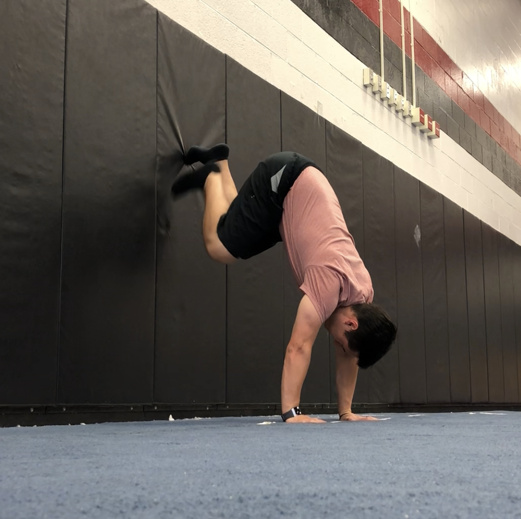 Handstand Training: How to do a Handstand Wall Walk and 4 Reasons Why You  Should — ACRO Physical Therapy & Fitness