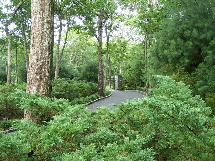 New driveway and gates