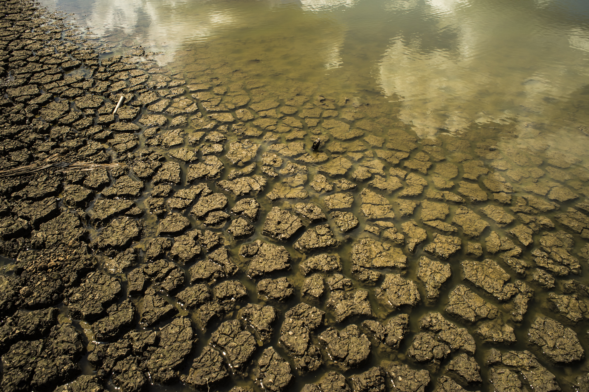 What remains of a big reservoir lake in Sertao do Pajeú. In 1998 this valley was settled by 120 families of "landless movement workers" who occupied this once fertile land dreaming for a dignified survival.&nbsp; 