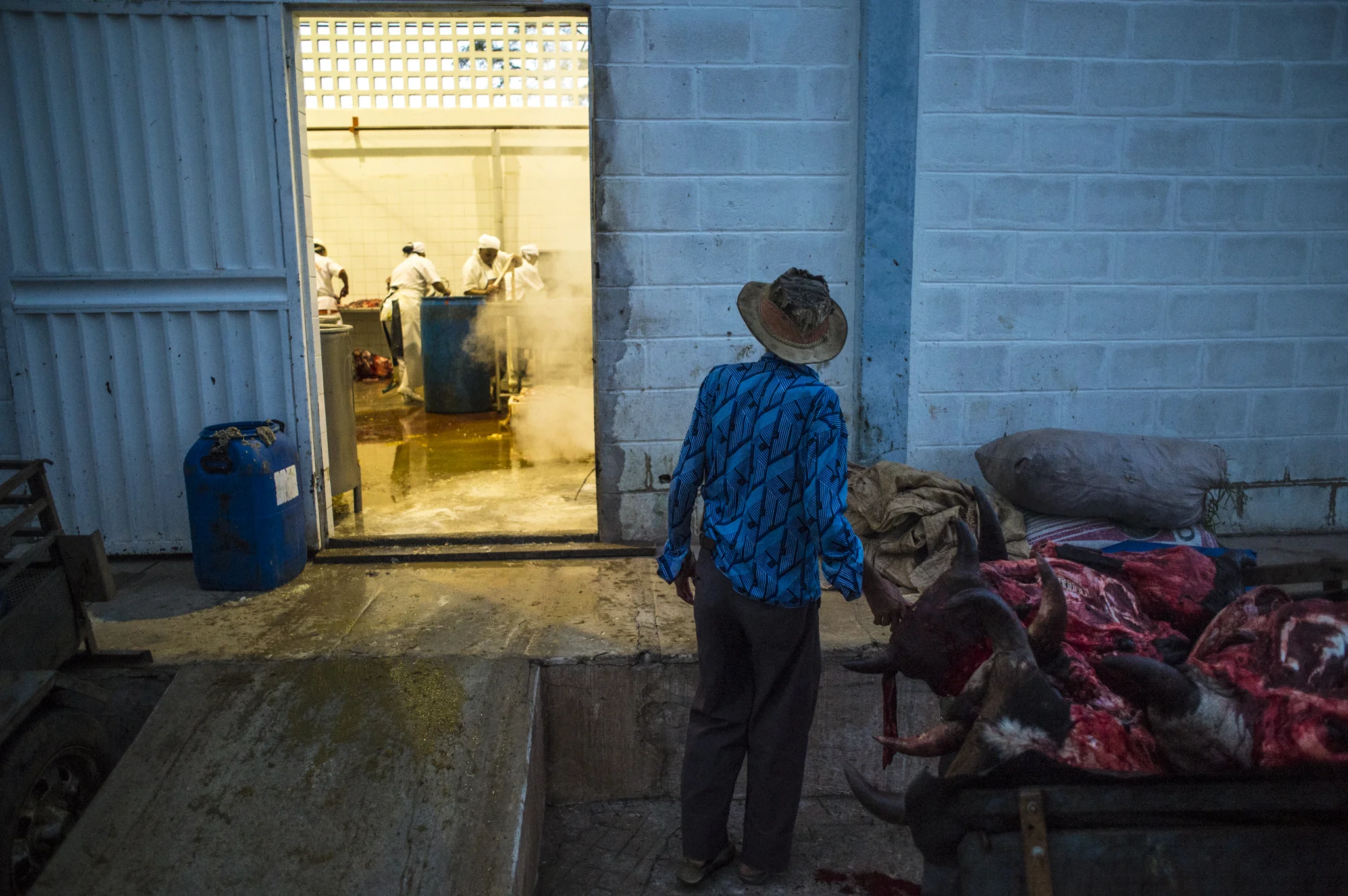  Virgulino, 74, is waiting for cowheads and others waste of production of a slaughterhouse in Afogados da Ingazeira. 