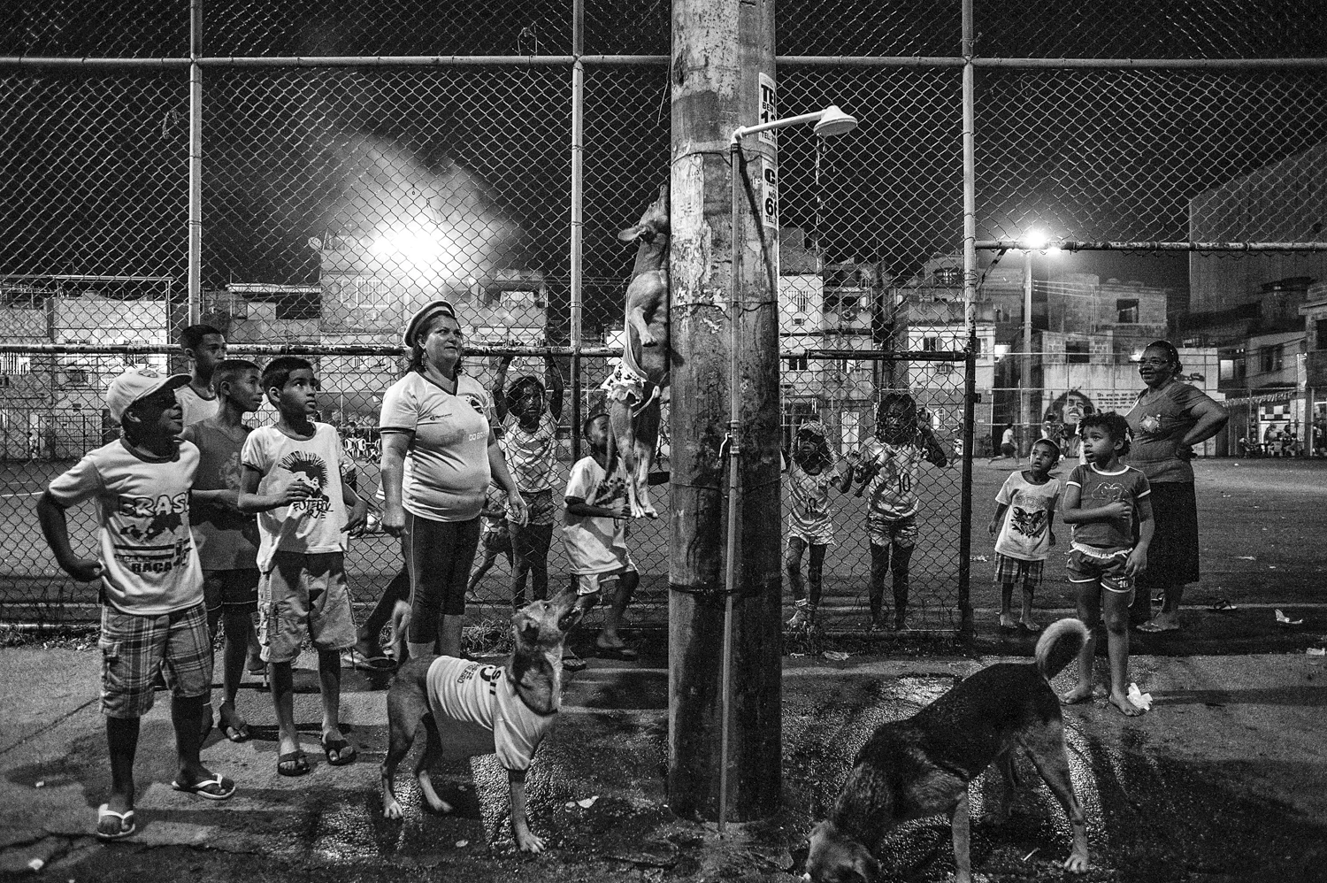  A pit bull making tricks for the childrens of Complexo da Marè, North zone of Rio de Janeiro. 