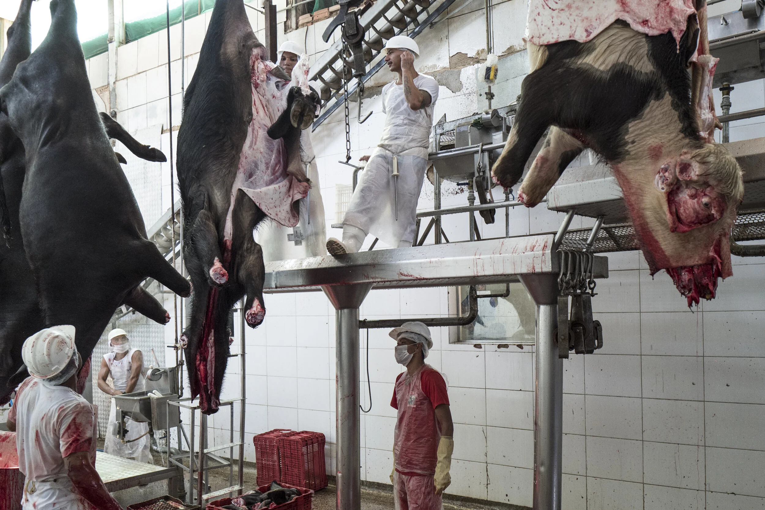  Workers inside a slaughterhouse in Porto Velho.  Brazil is the world's largest exporter of beef, one of the main causes of deforestation in Brazilian Amazon together with soybean monocultures. 