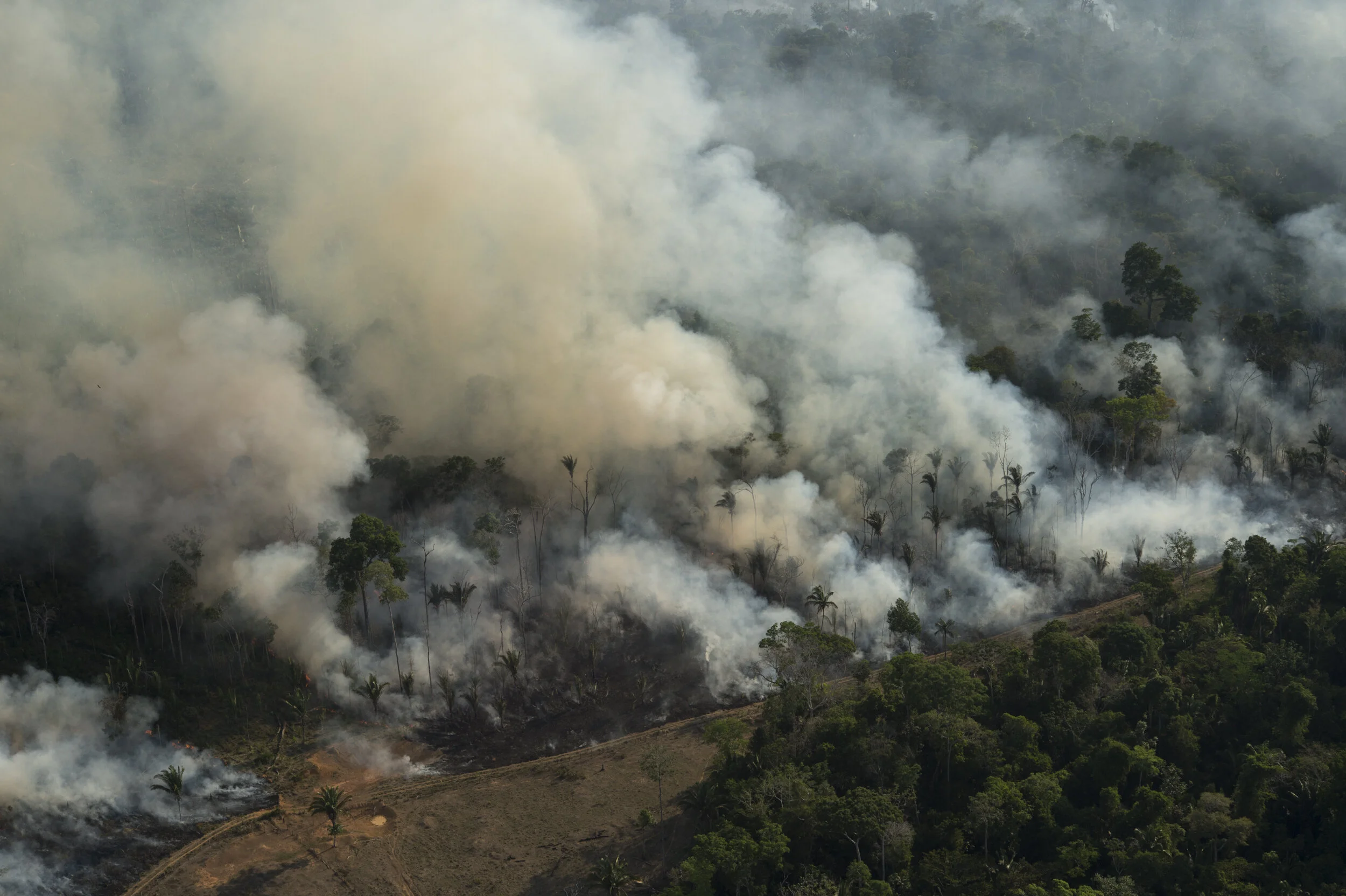  Land burned to be cleared for cattle grazing near Porto Velho.  The Amazon forest is facing the highest deforestation and forest fires in the last 9 years. 