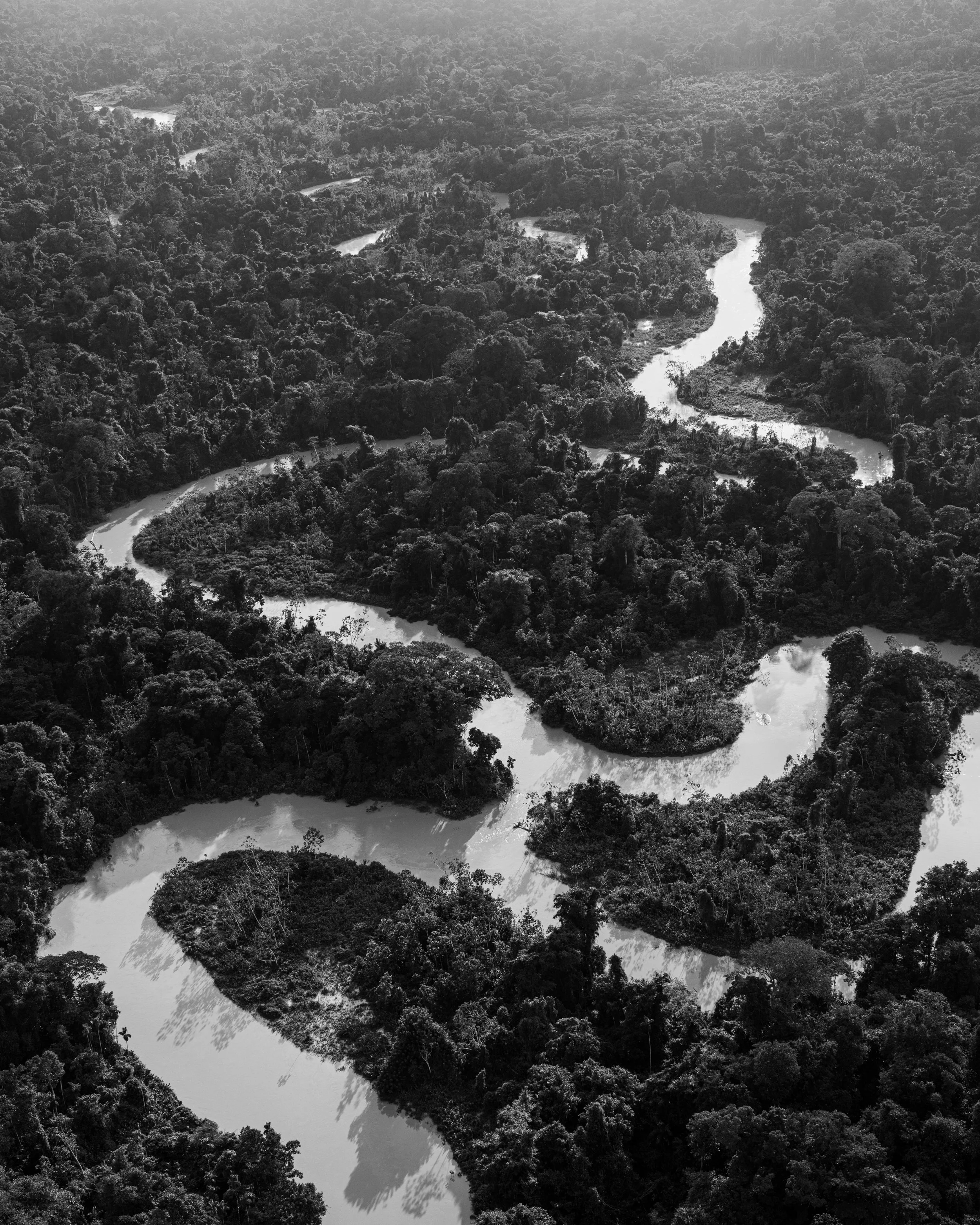 12 June, 2021  An intricate stretch of the Uraricoera river is seen surrounded by still intact primary rainforest inside the Yanomami Indigenous Territory