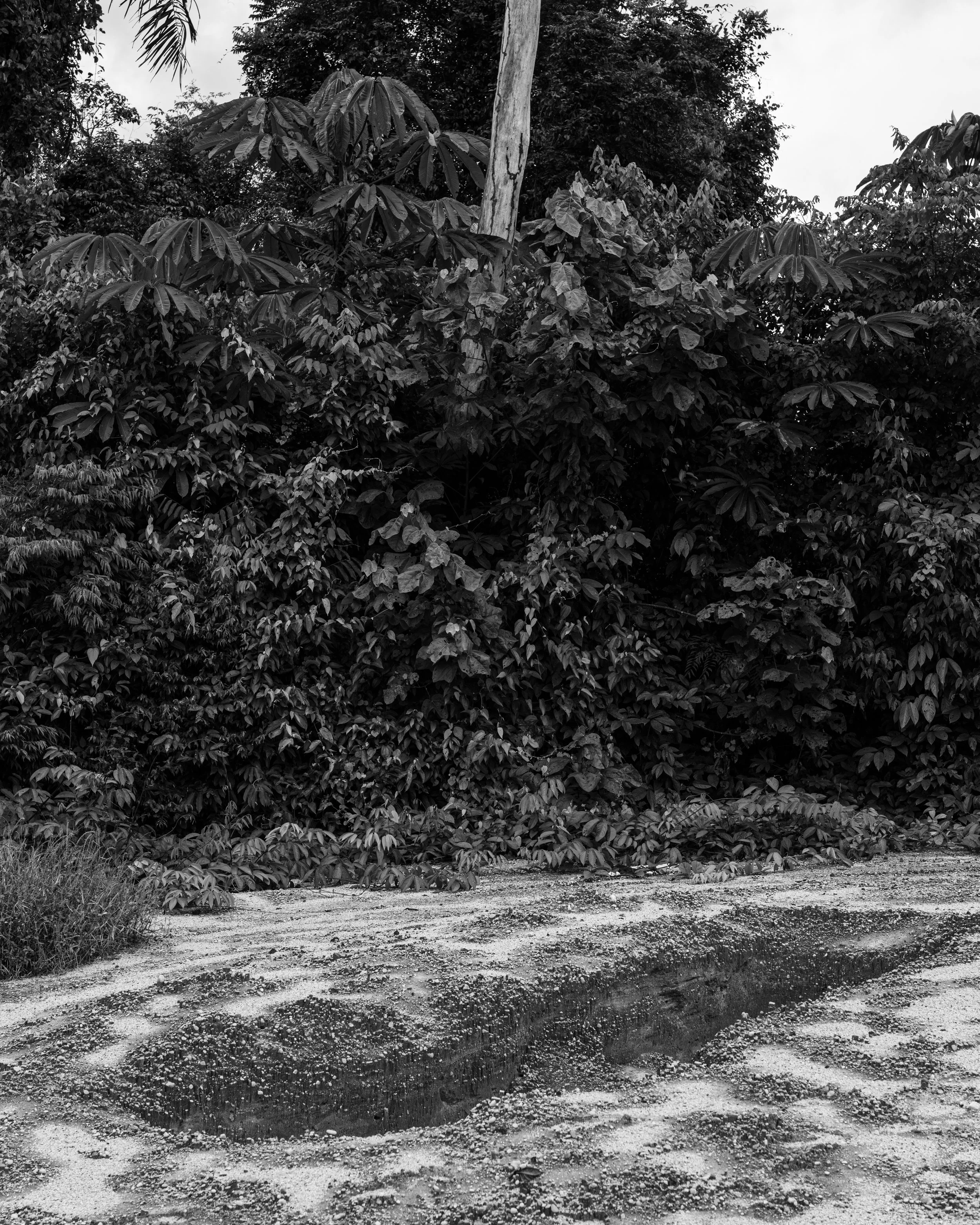 YANOMAMI-6.jpg