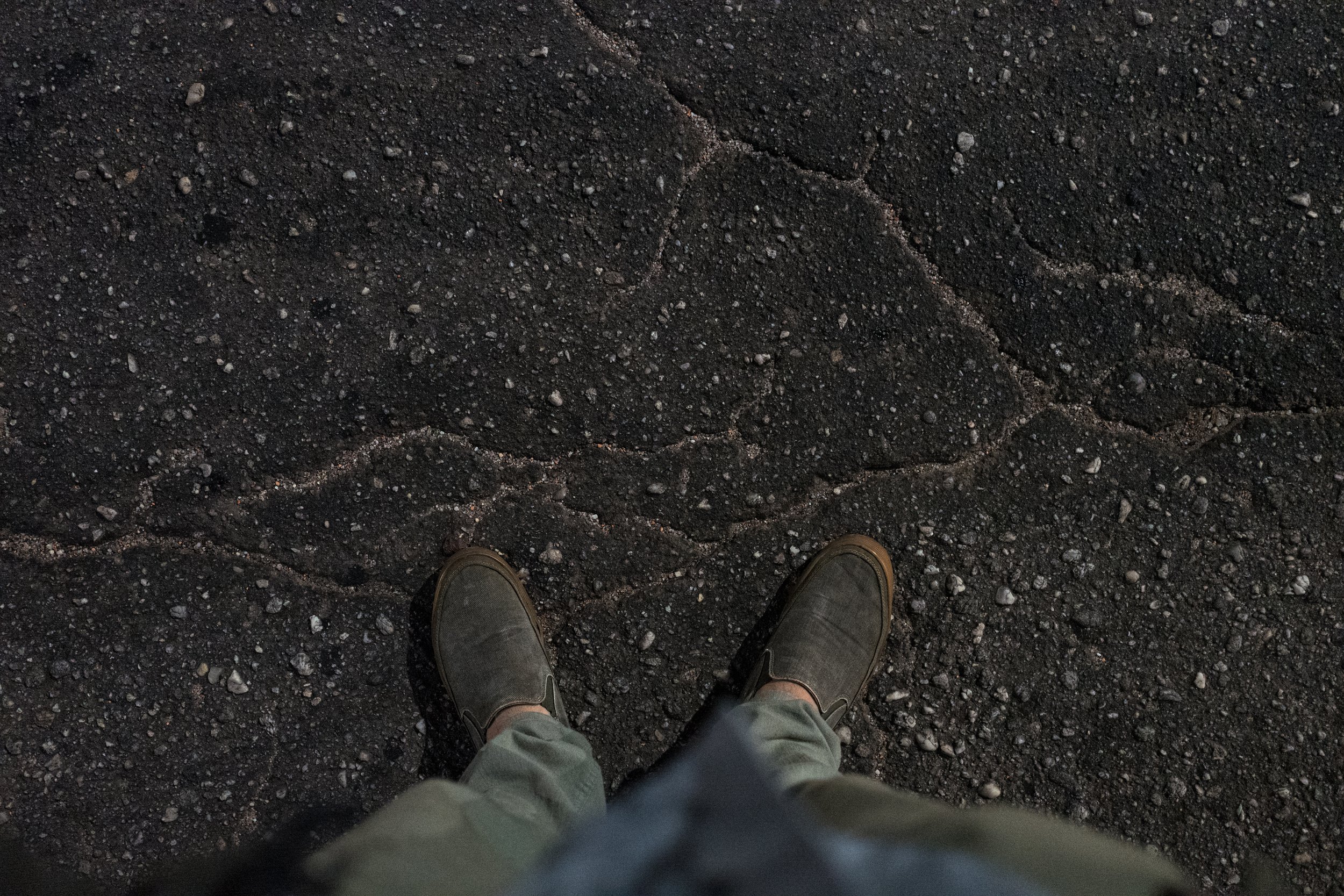 L1650727.jpg