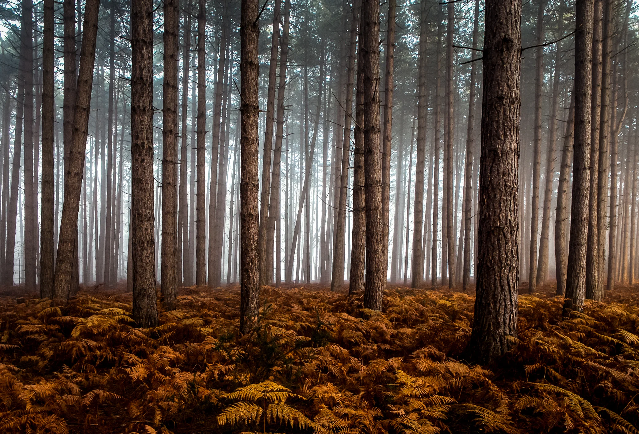 500px-4.jpg