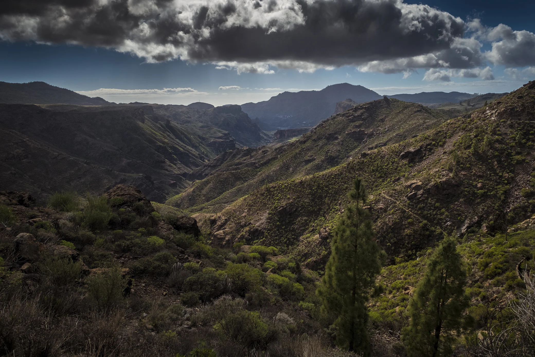g-canaria-3.jpg