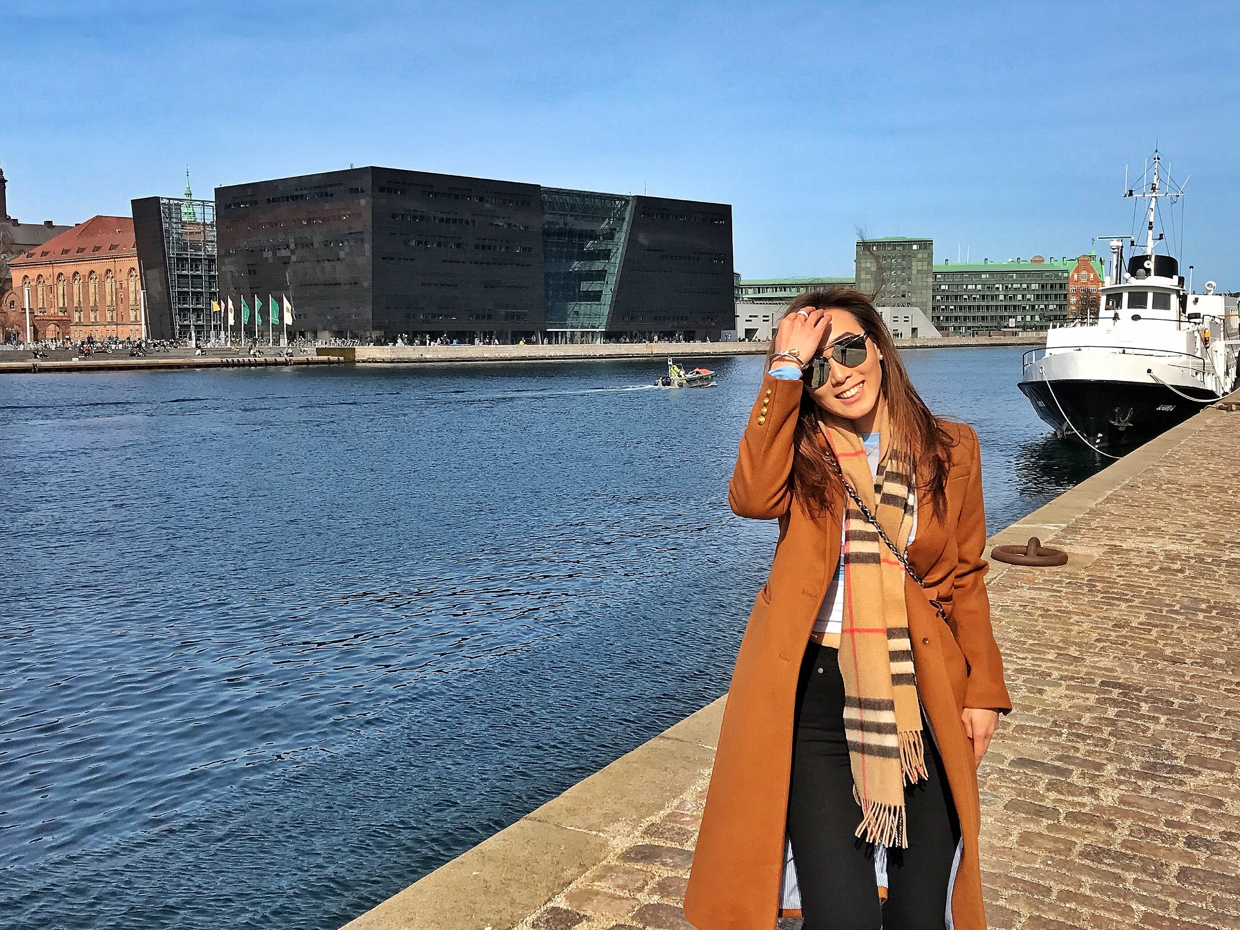 Black Diamond (The Royal Library)