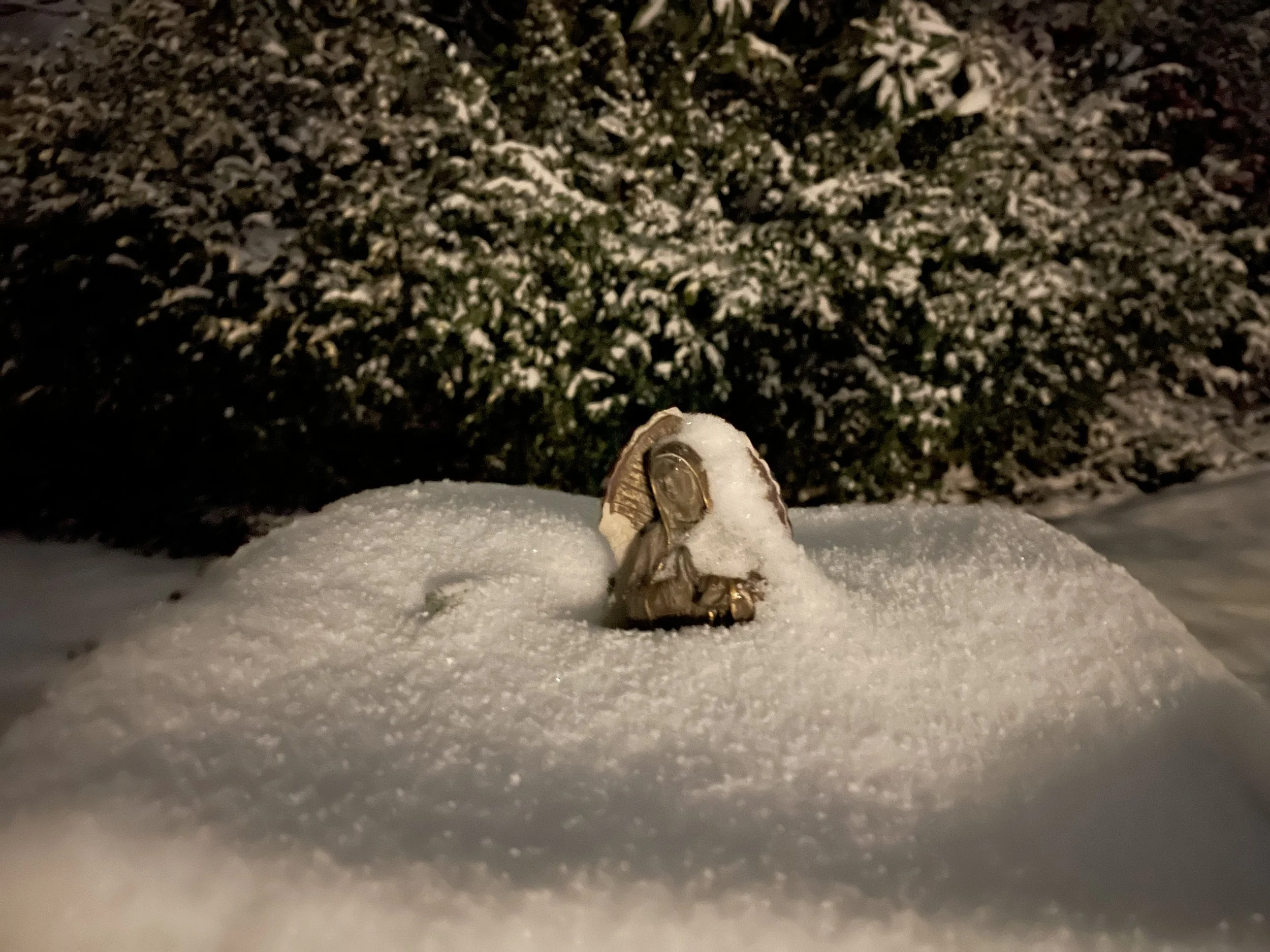 Our longing for community...A Christmas story.