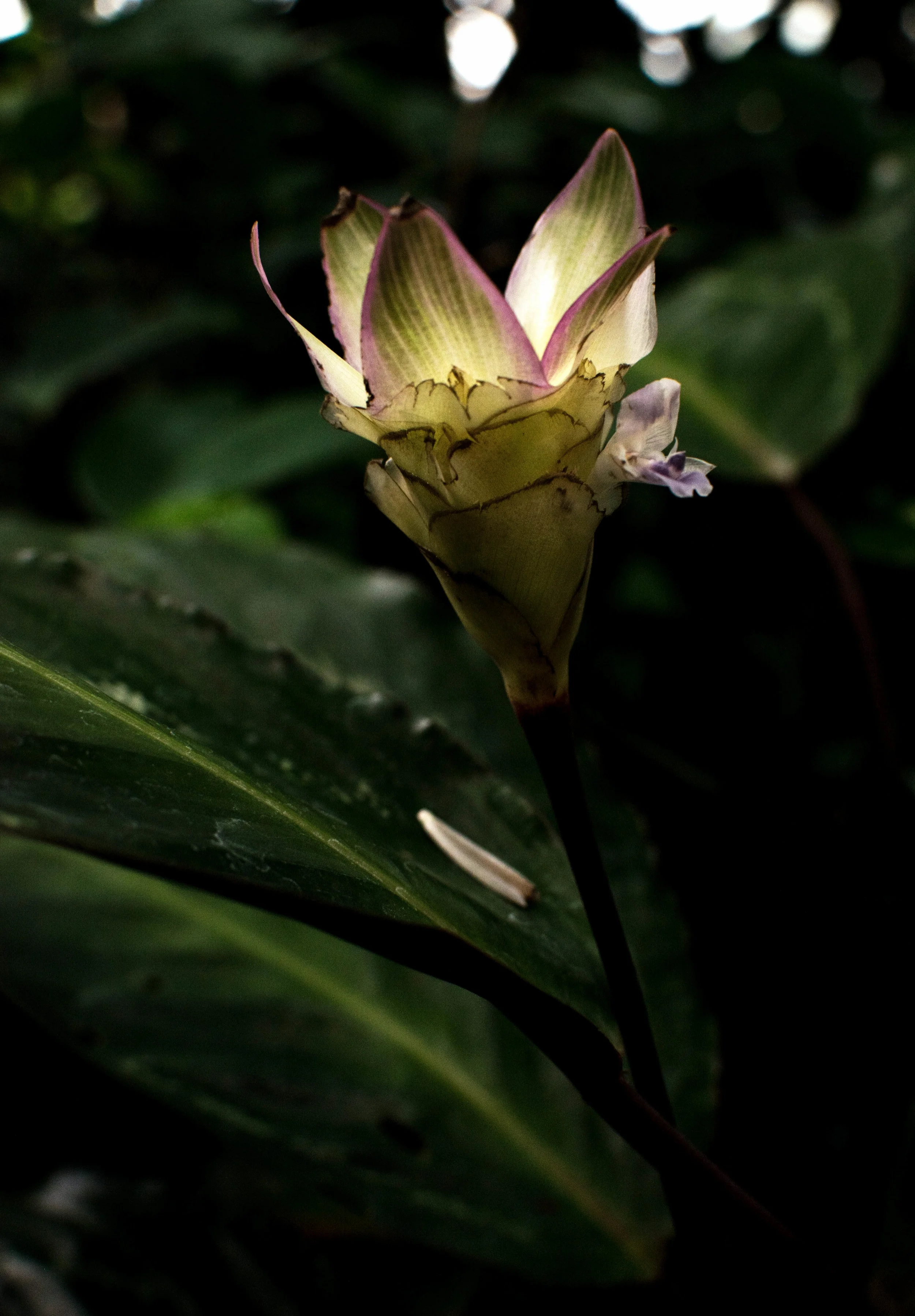 DSC_0034.jpg