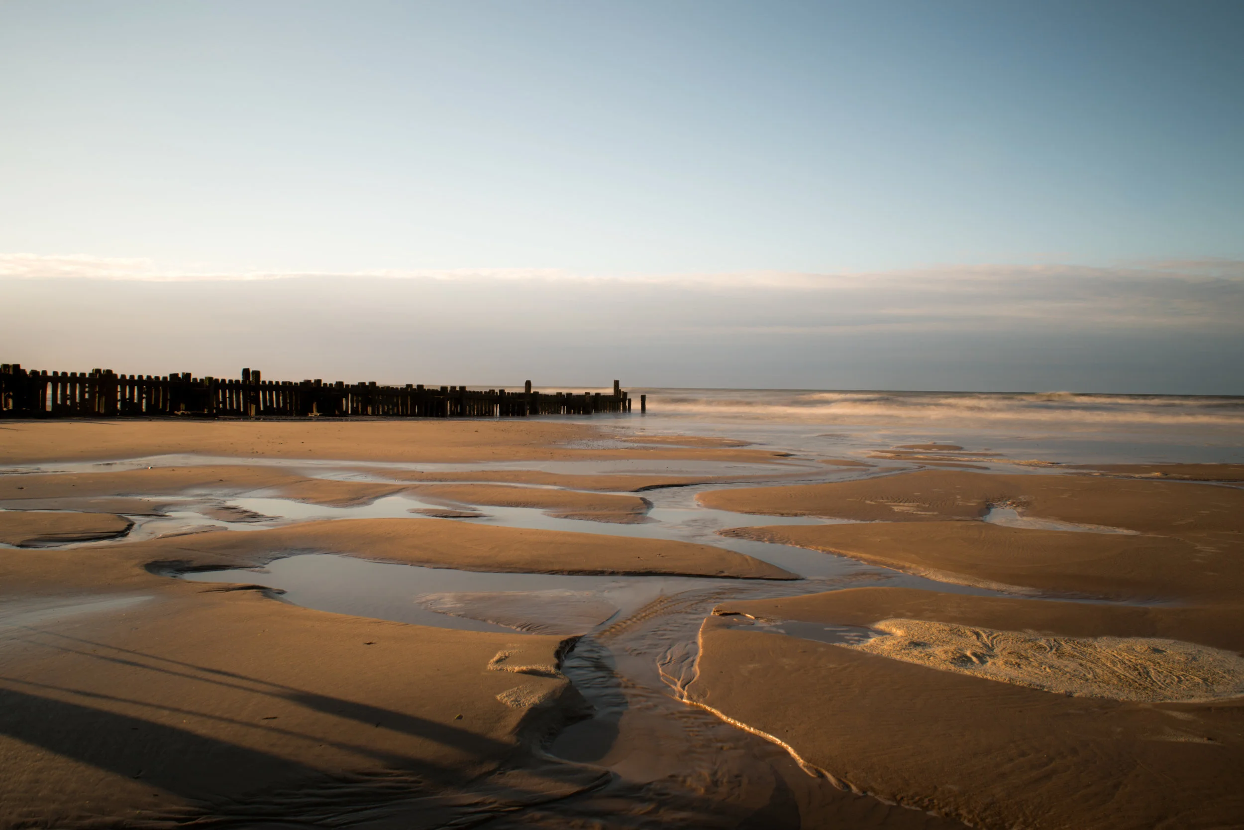 puddles LG print.jpg