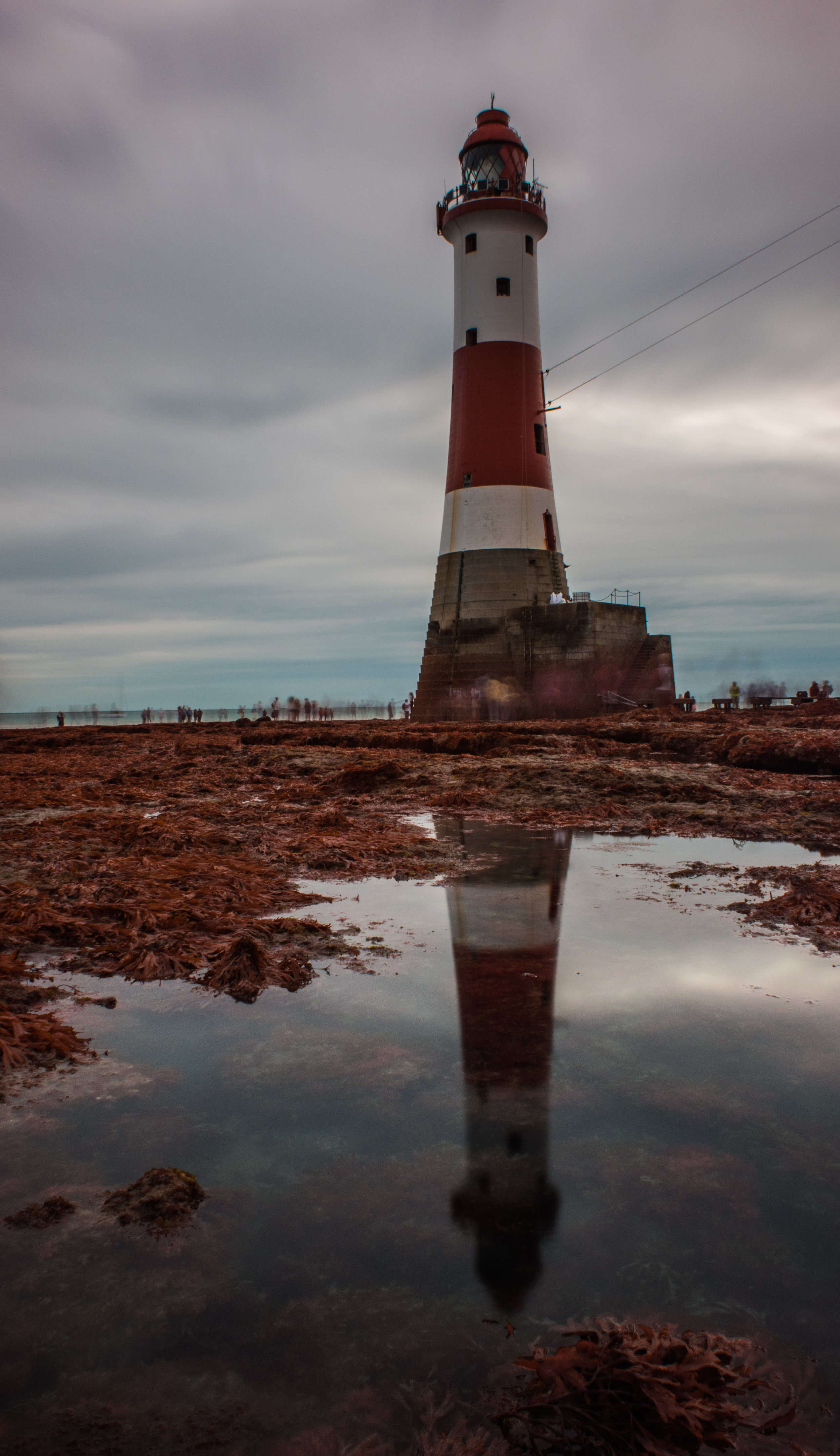Reflecting light MSize (2).jpg