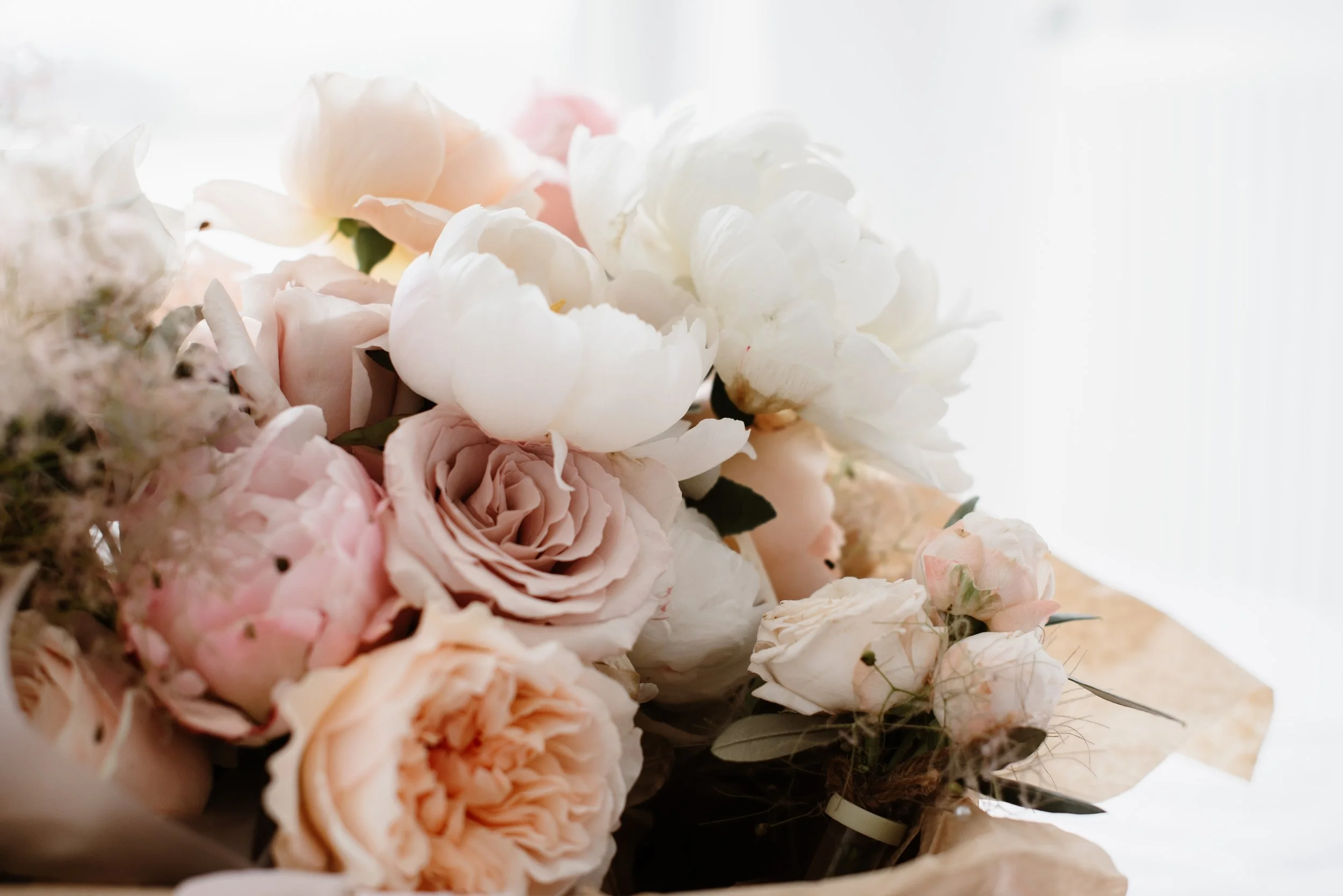 Let's talk about Intimate Weddings 