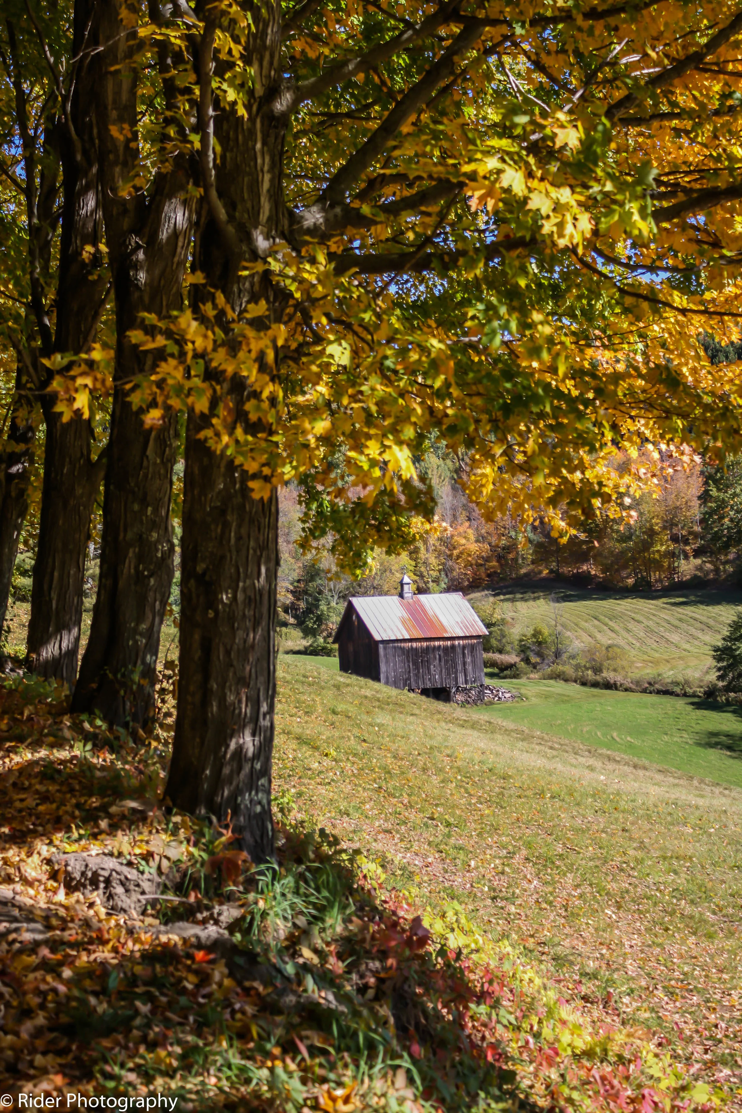 Cloudland farm out building