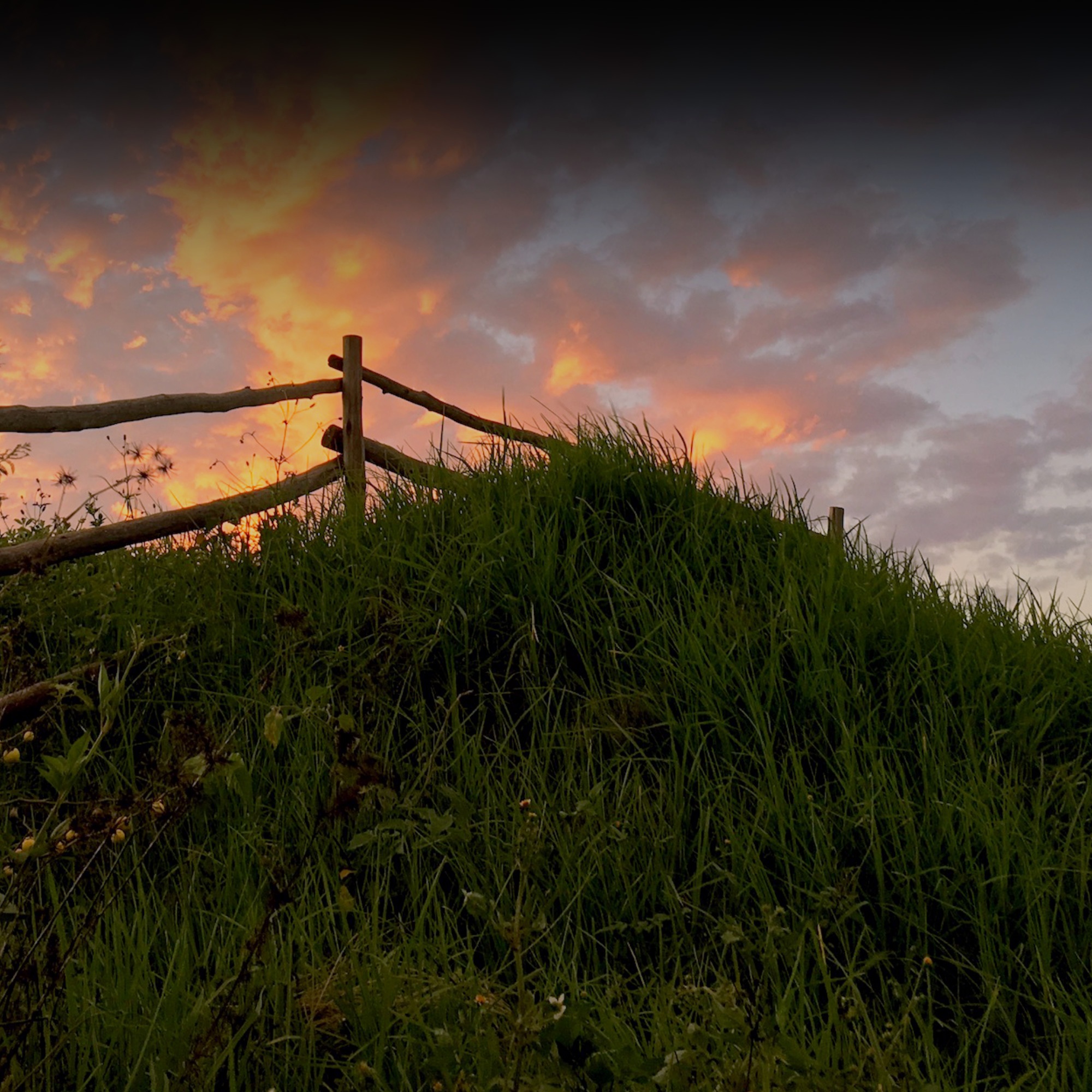 IFWG_WEBSITE_fence2_gradient.jpg