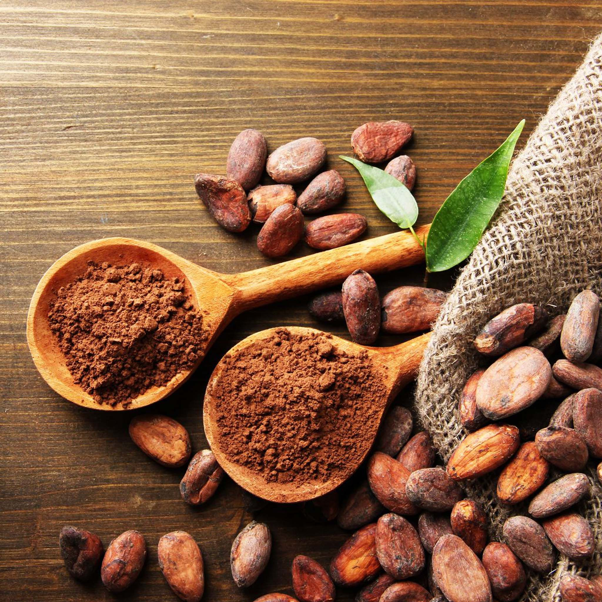 Cacao Fruit Berry Peel ingredients are available in powder forms that can be fine ground to meet any specification requirements.