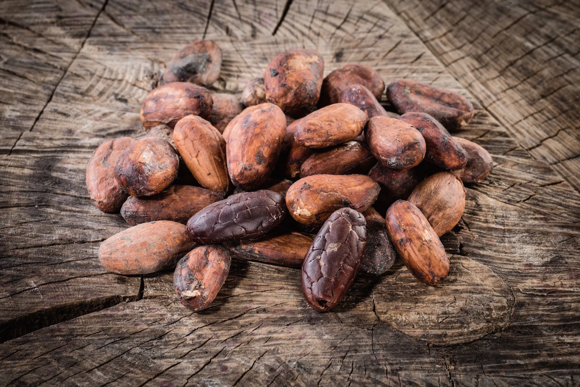 Cocoa Beans are available in multiple processed forms for standard use or for more controlled uniformity of the fermentation process.