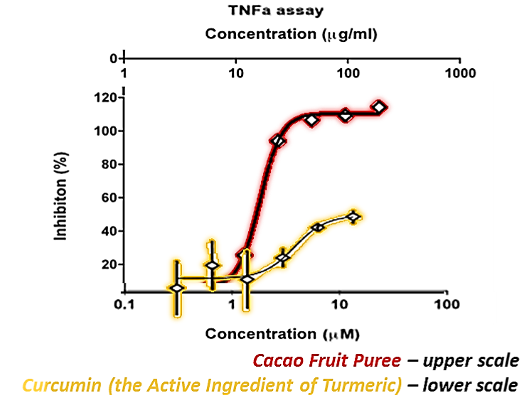 Cacao Fruit Puree is 6 - 8 times higher in antioxidant and anti-inflammatory effects when compared to Curcumin (the active ingredient of Turmeric) and tests reveal its superfood status.