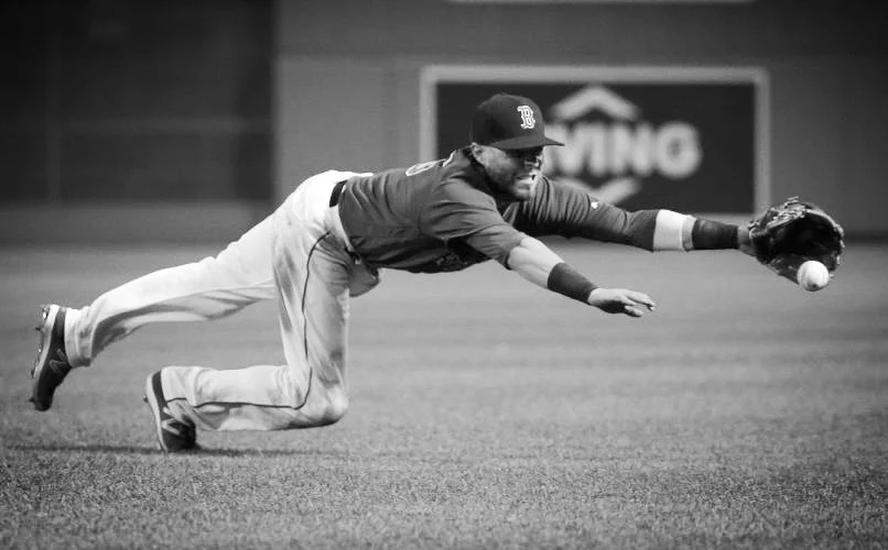 pedey4.jpg