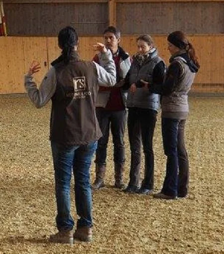 Gruppenworkshops.jpg
