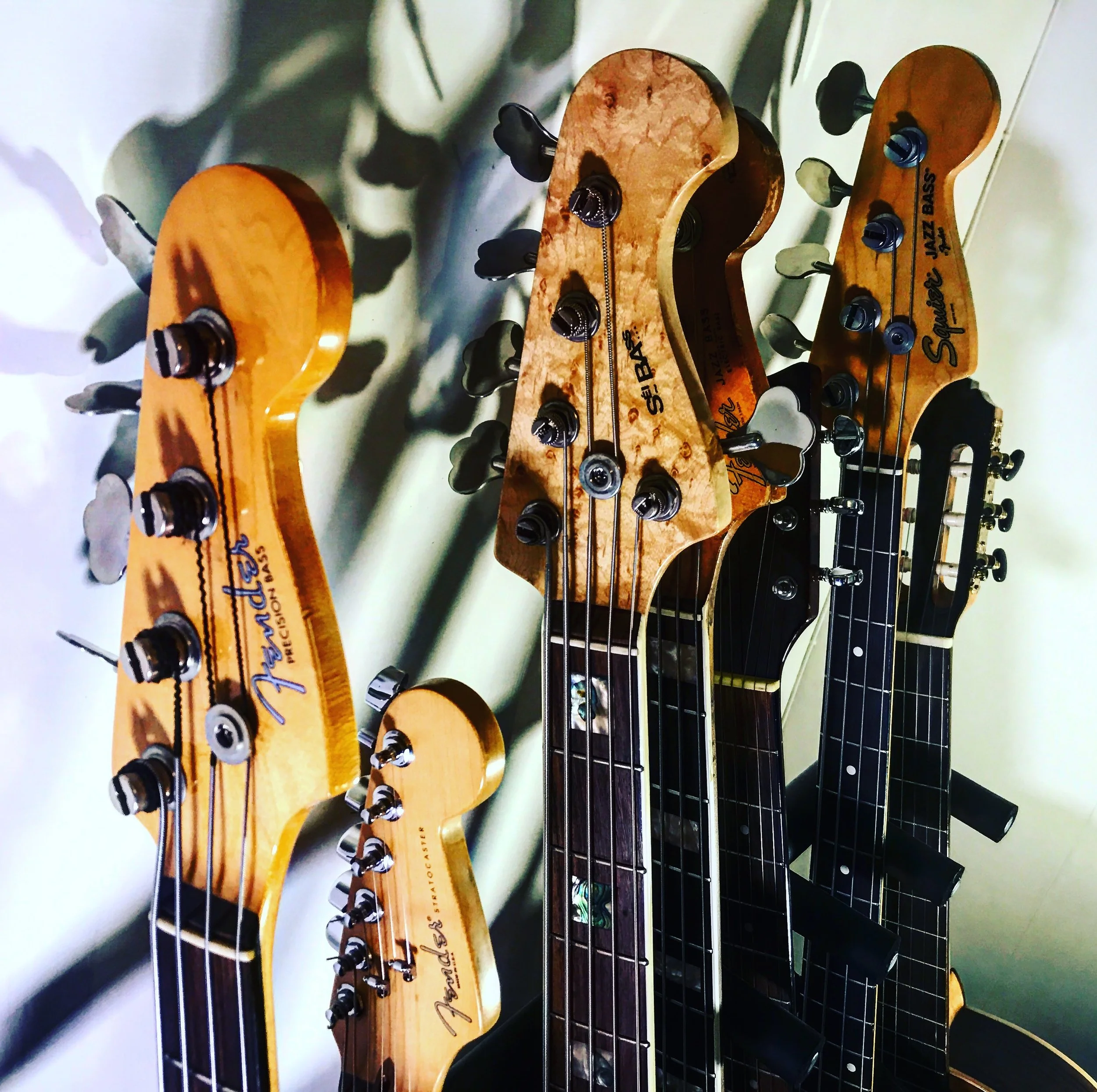 5 must-have accessories for your guitar or bass