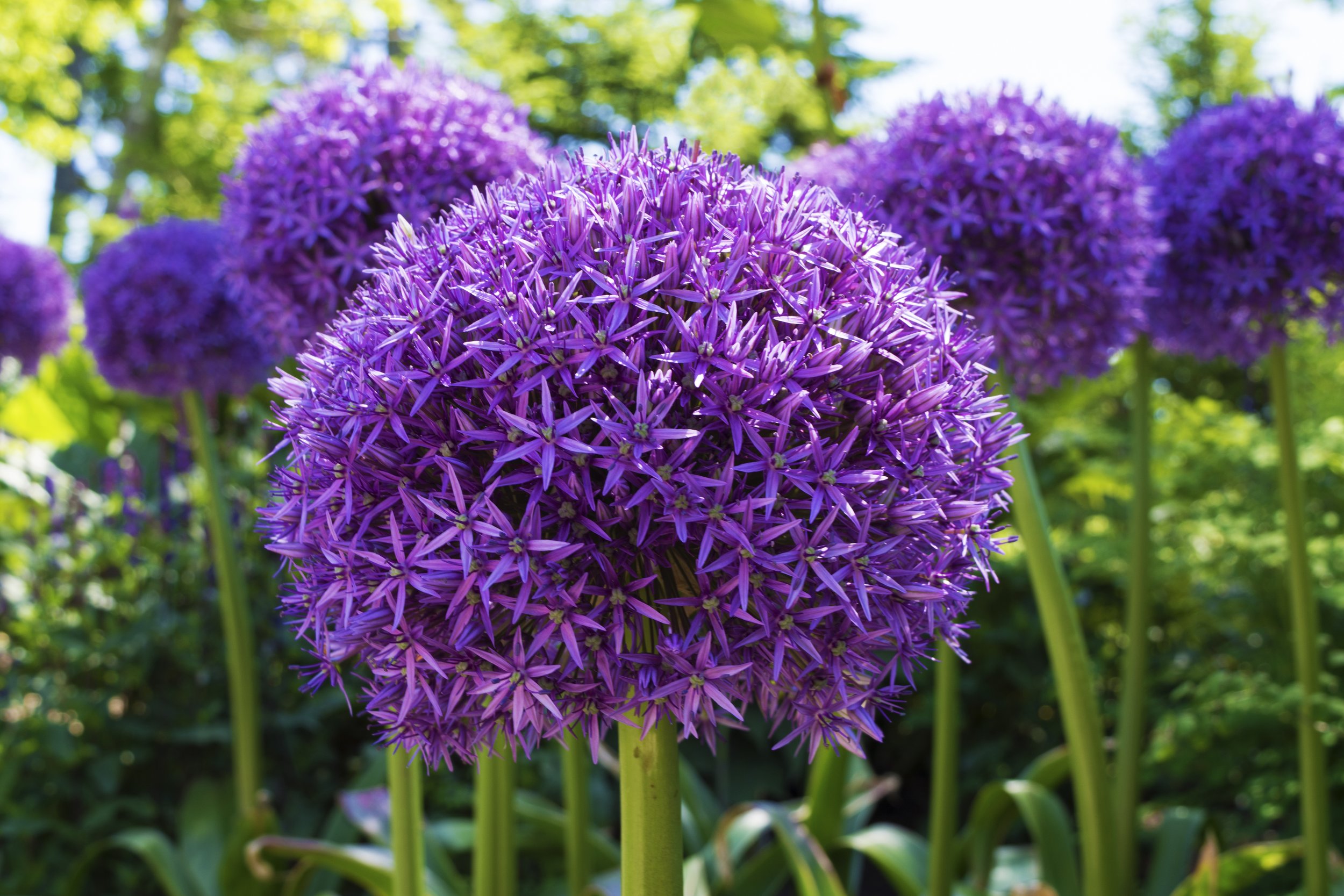 Boothbay, Maine - 2016