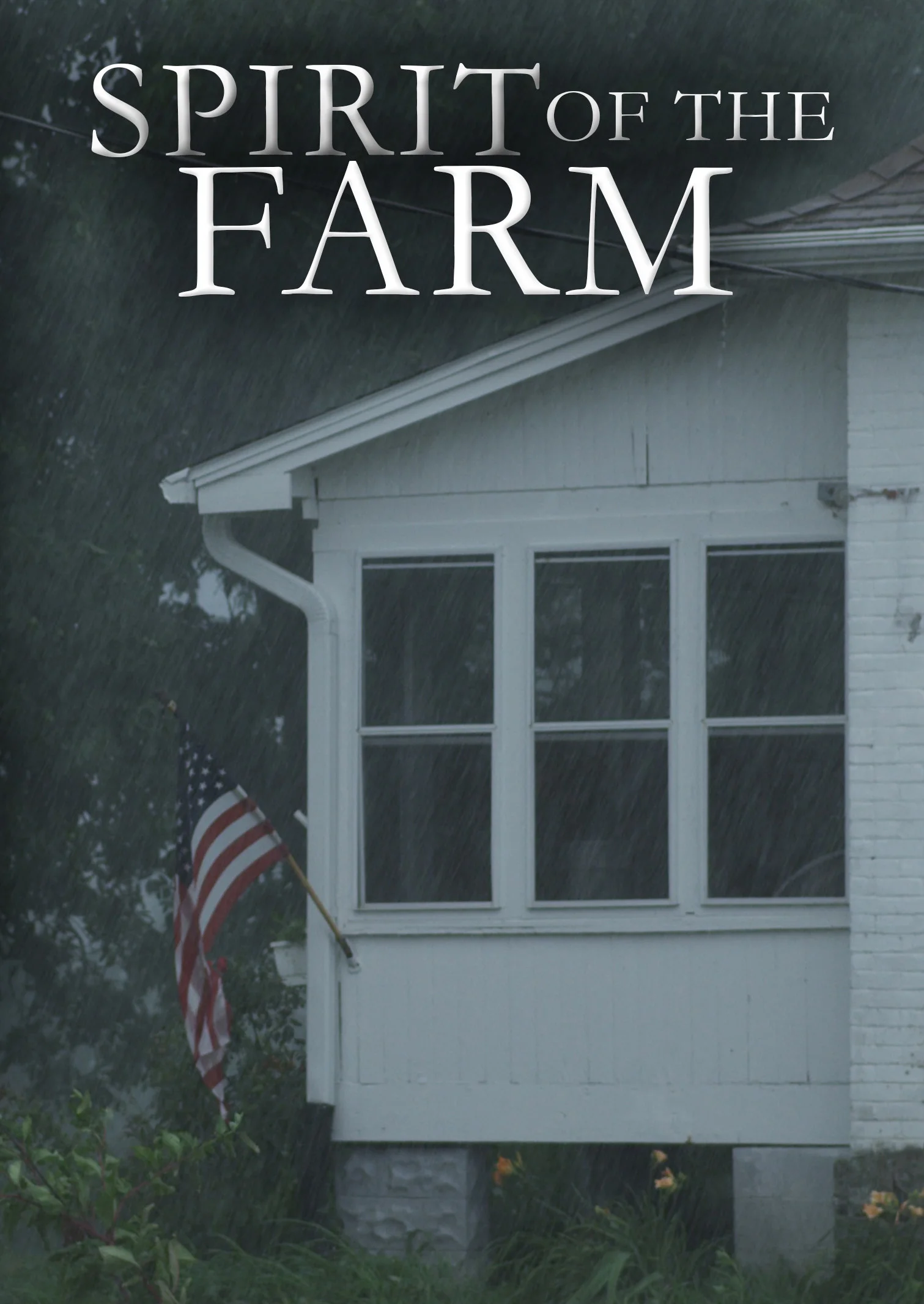DVD Cover.jpg