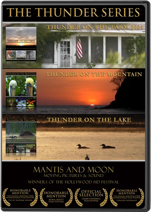 Tunder DVD.jpg