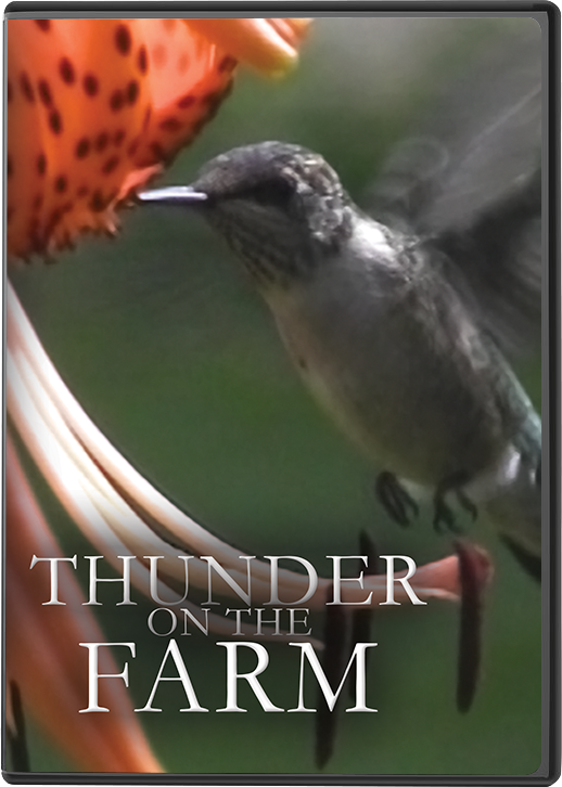 TOF DVD 2019.png