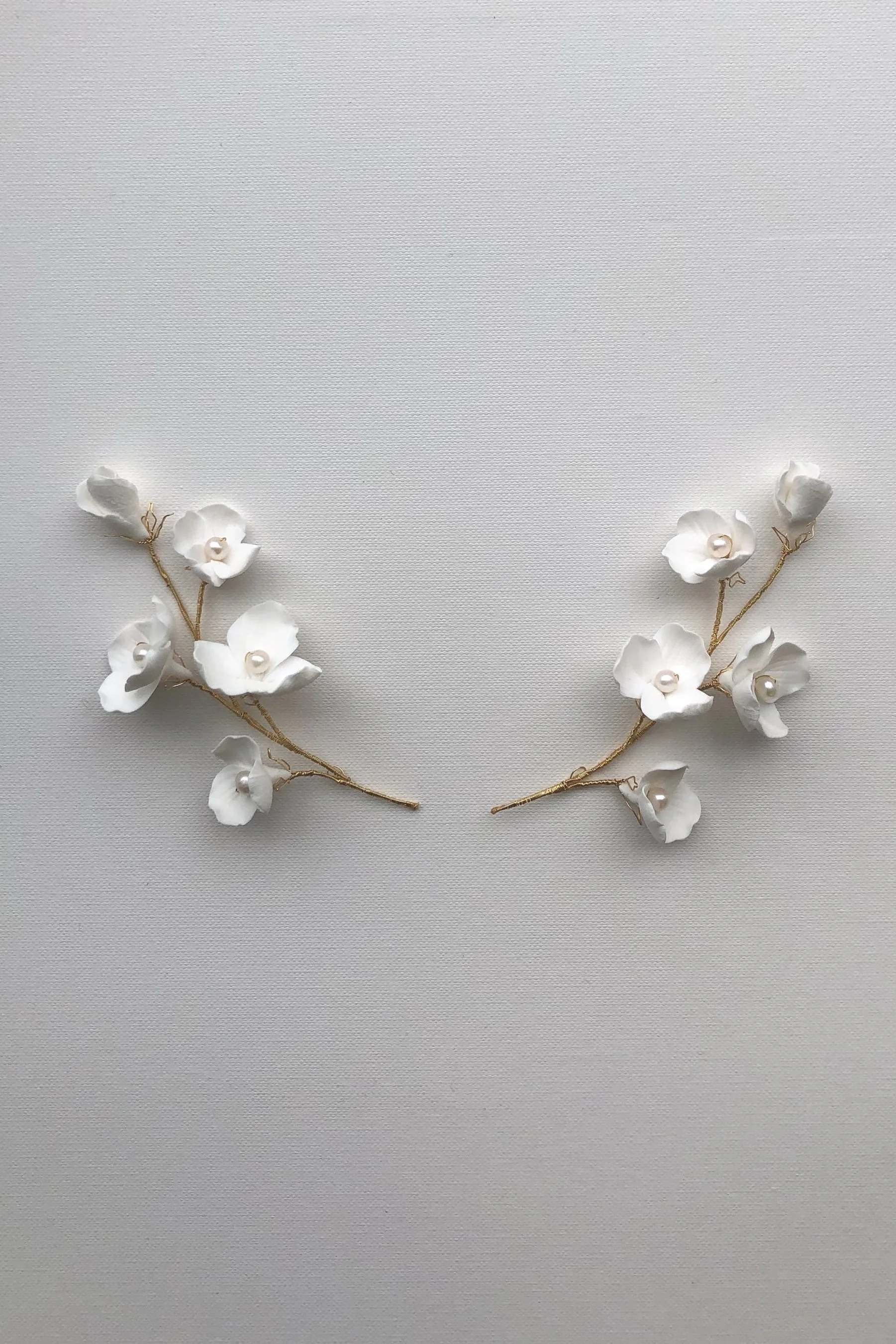Cecily Hairvine