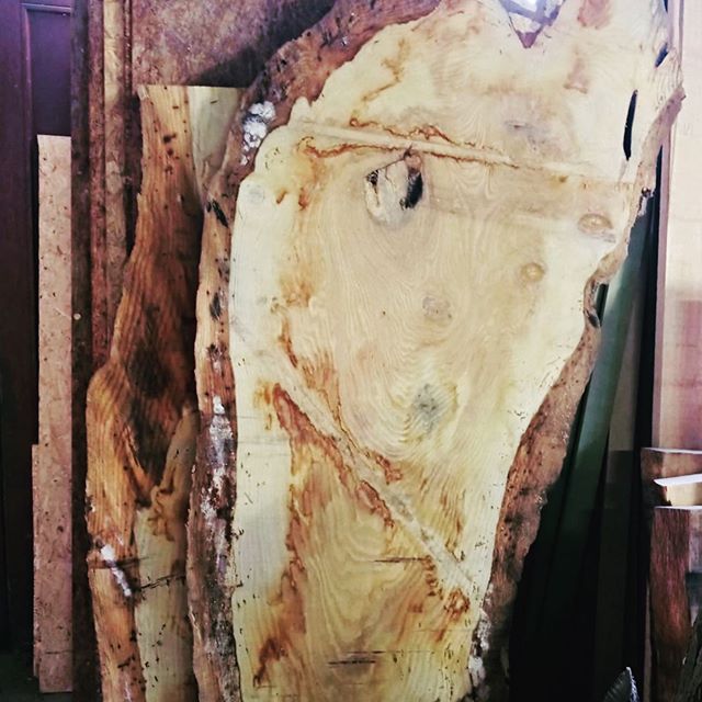 Wood Wapiti futur nouvelle table basse pour notre client. Arriv&eacute; directement de notre scierie.  Le bois est fantastique nous vous montrerons le r&eacute;sultat bient&ocirc;t. - -  #deco#design#woodtable#bois#homeinterior#surmesure#tableenbois#