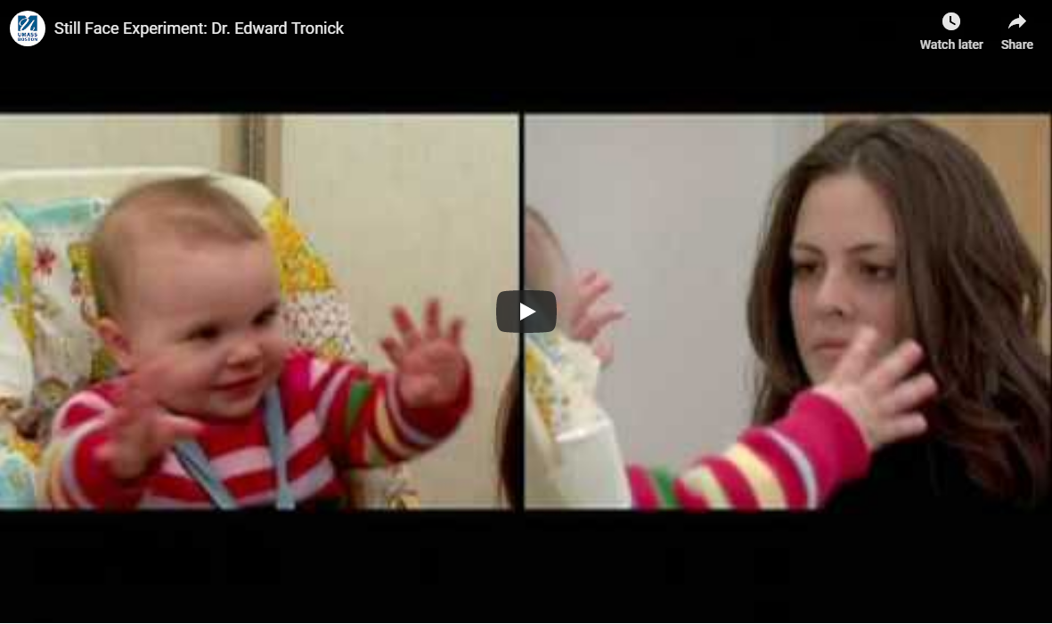 Still Face Experiment: Dr. Edward Tronick