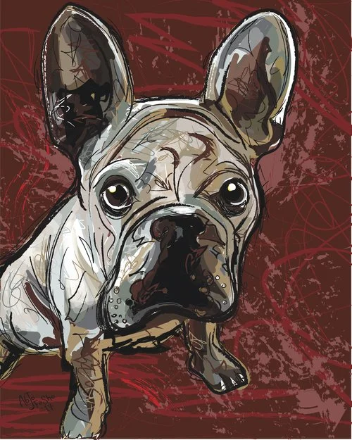 FlynnDogRed.jpg